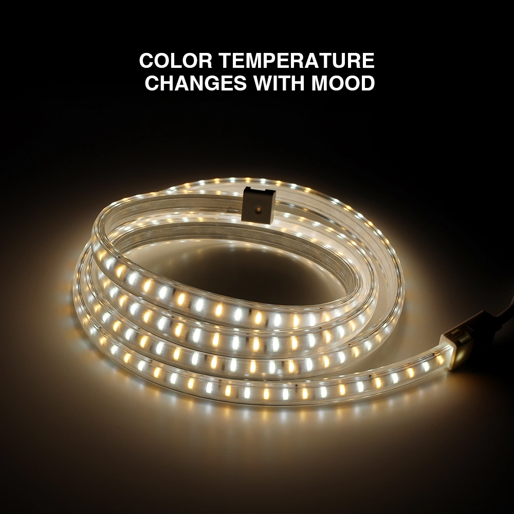 Aluminum PVC High Brightness High Voltage Warm White Cold White SMD2835 220V LED Strip Light