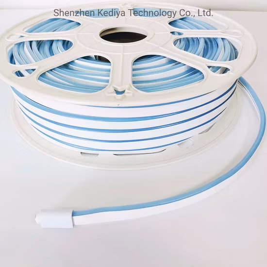 Bande lumineuse flexible LED pour tuyau étanche extérieur Magic Neon