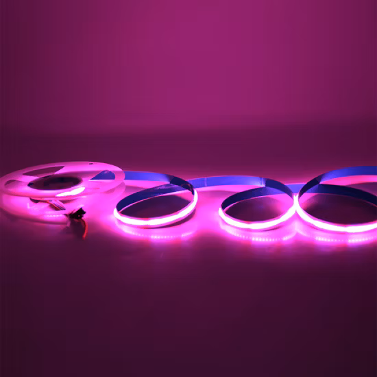 Bande lumineuse LED COB variable Dotsfree personnalisée 12V CCT Csp RVB